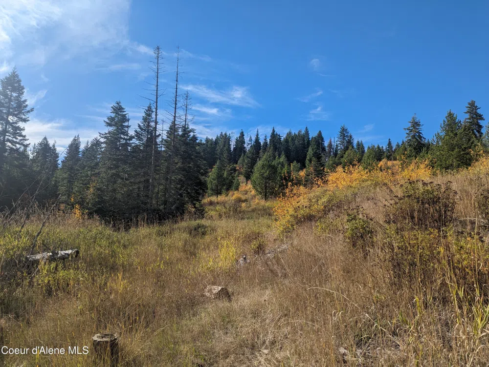 NKA Founders Rd Emida, ID 83861