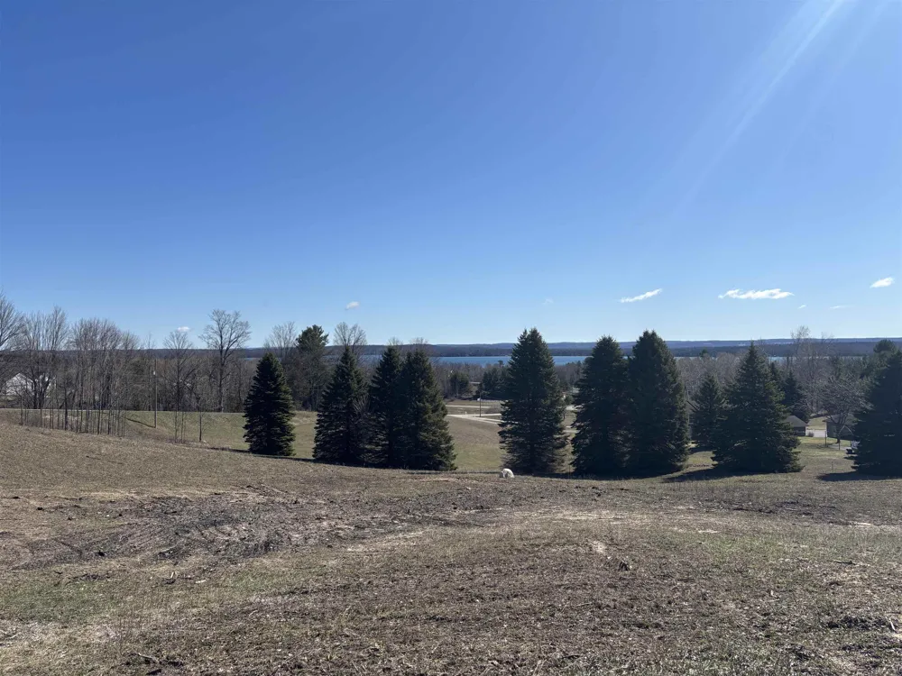 Palaestrum Road Whitewater Township, MI 49690