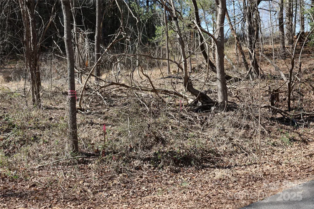 00 Crappie Hollow Lane Taylorsville, NC 28681
