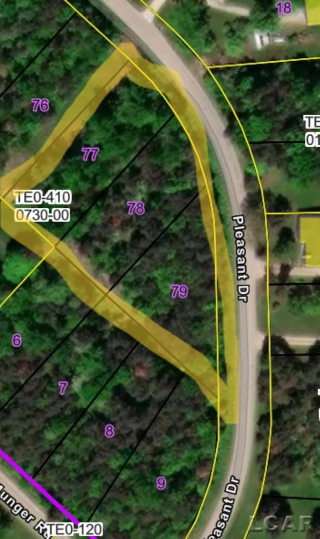 Pleasant Drive Tecumseh Township, MI 49286