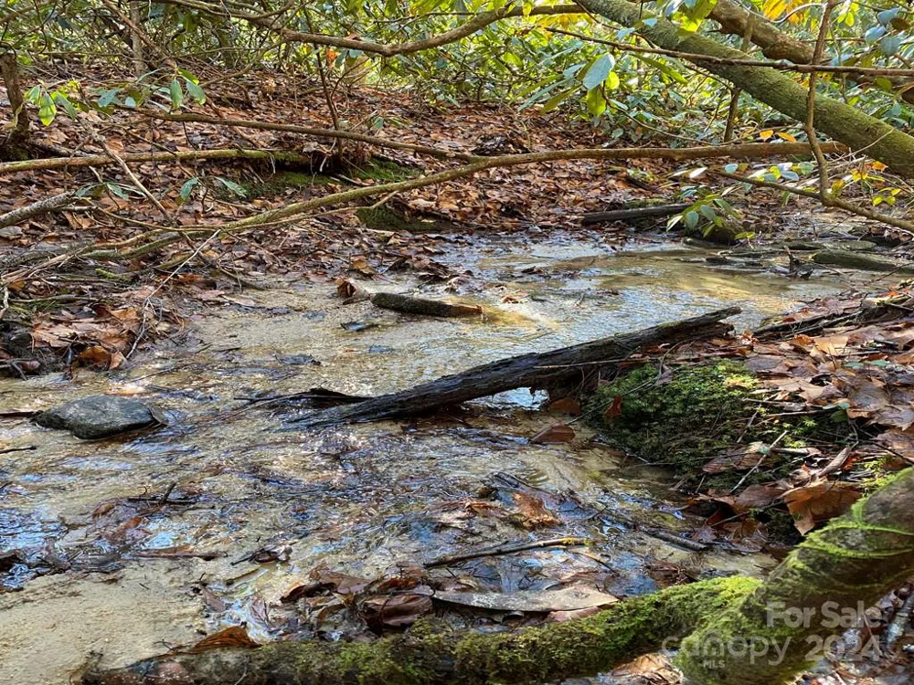 L41 Abby Falls Road #L41 Rosman, NC 28772