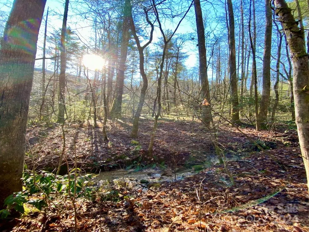 L41 Abby Falls Road #L41 Rosman, NC 28772