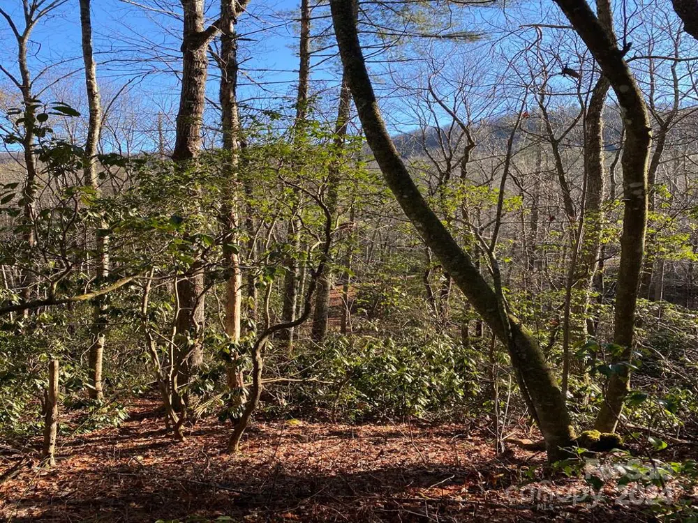 L41 Abby Falls Road #L41 Rosman, NC 28772