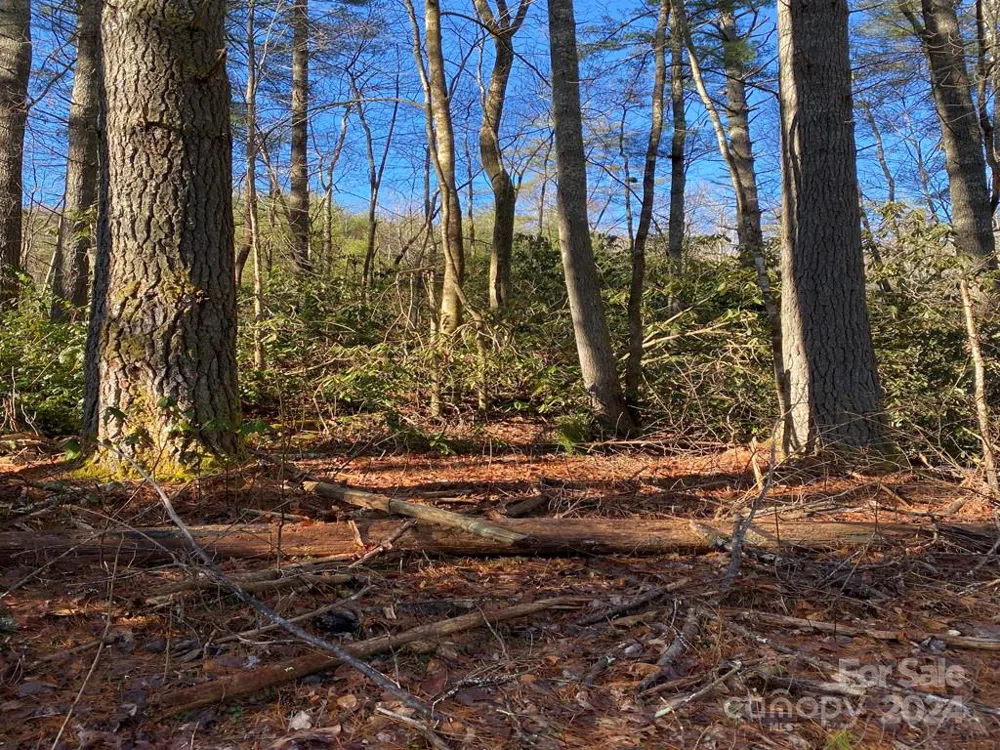 L41 Abby Falls Road #L41 Rosman, NC 28772