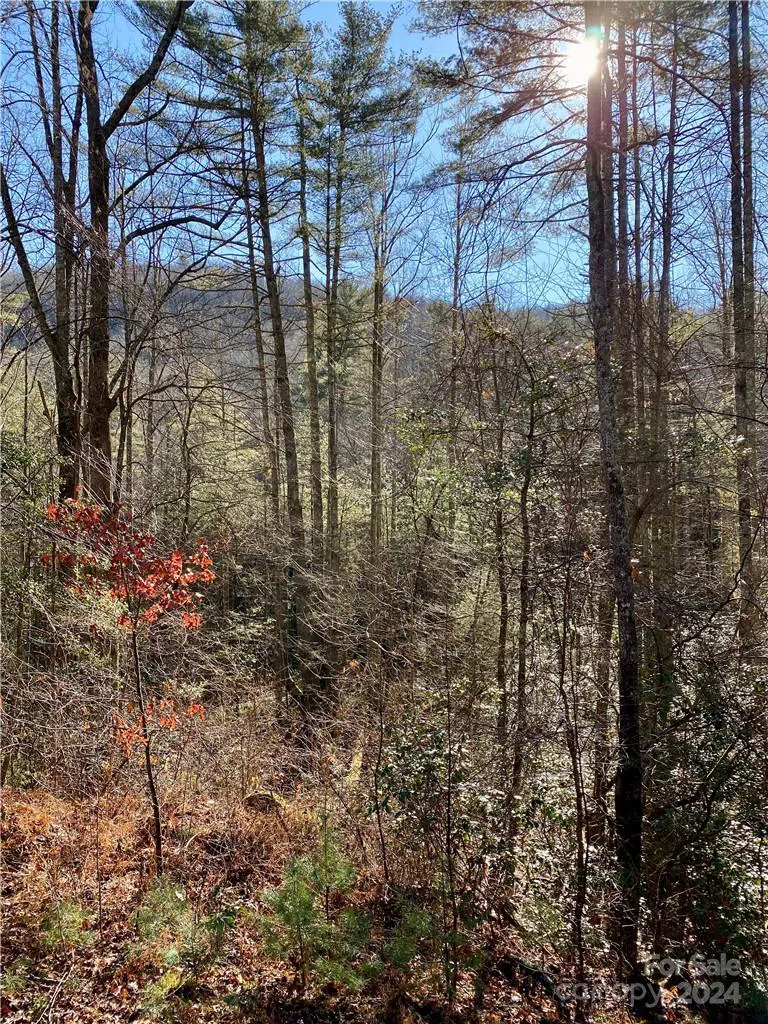 L41 Abby Falls Road #L41 Rosman, NC 28772