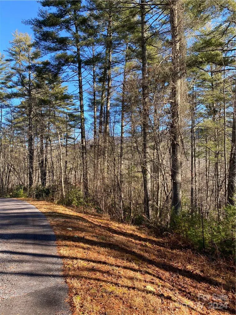 L41 Abby Falls Road #L41 Rosman, NC 28772