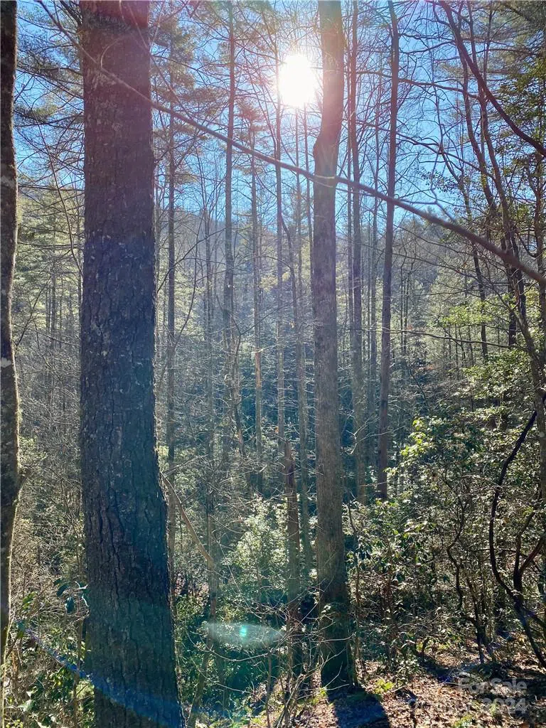 L41 Abby Falls Road #L41 Rosman, NC 28772
