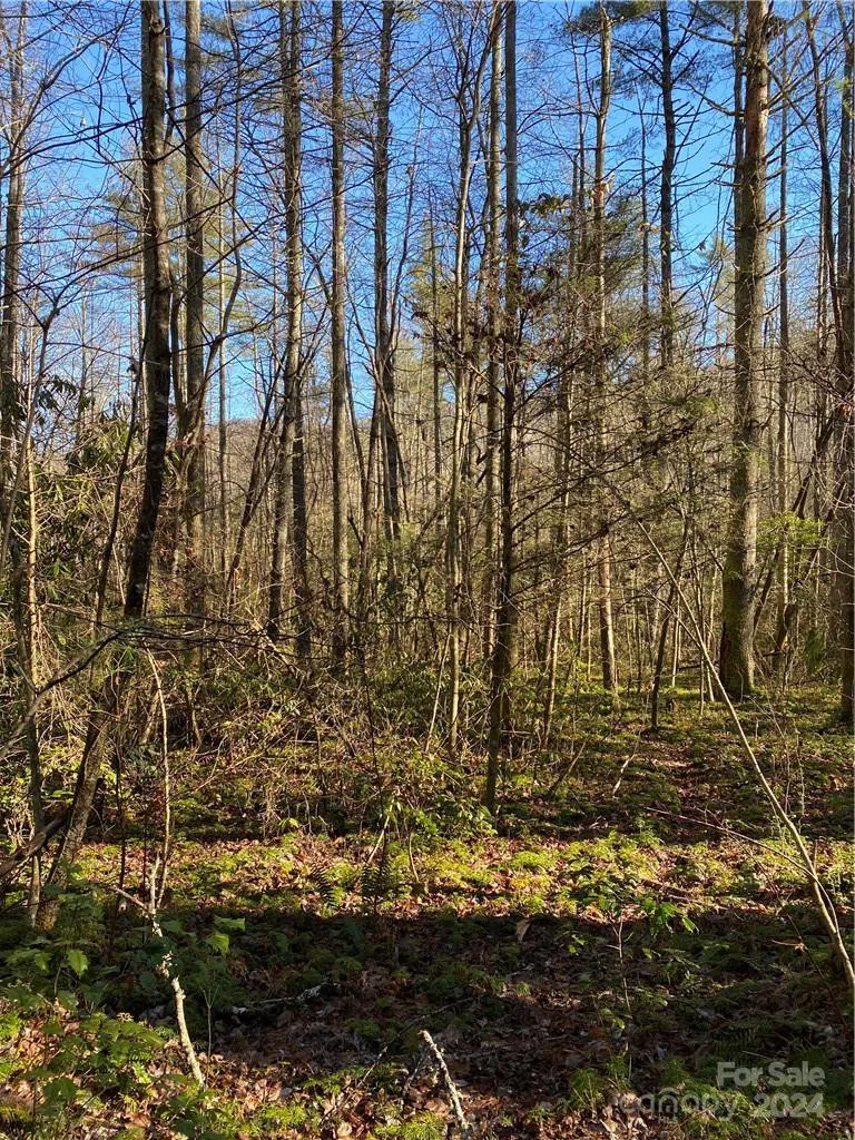 L41 Abby Falls Road #L41 Rosman, NC 28772