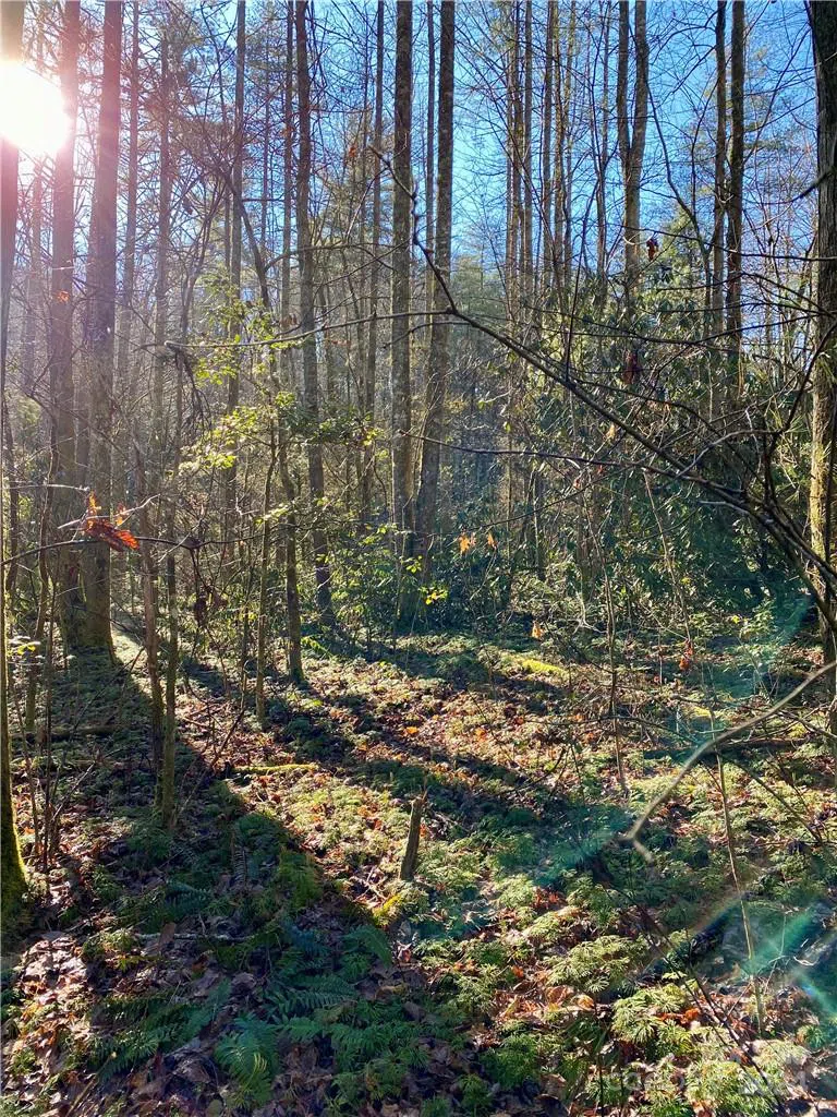 L41 Abby Falls Road #L41 Rosman, NC 28772