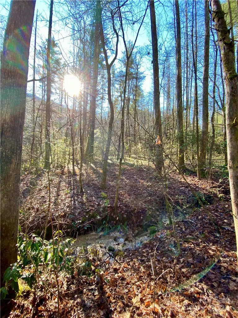 L41 Abby Falls Road #L41 Rosman, NC 28772