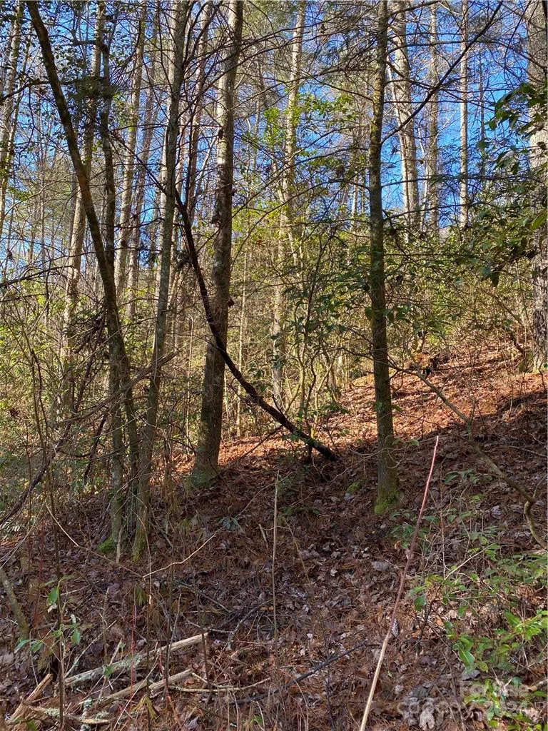 L41 Abby Falls Road #L41 Rosman, NC 28772