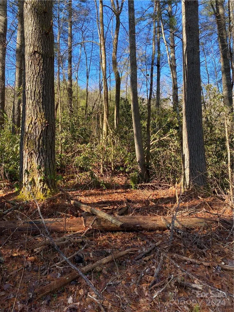 L41 Abby Falls Road #L41 Rosman, NC 28772