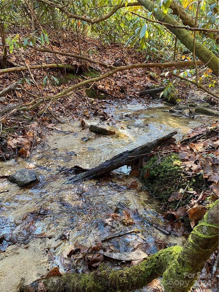 L41 Abby Falls Road #L41 Rosman, NC 28772