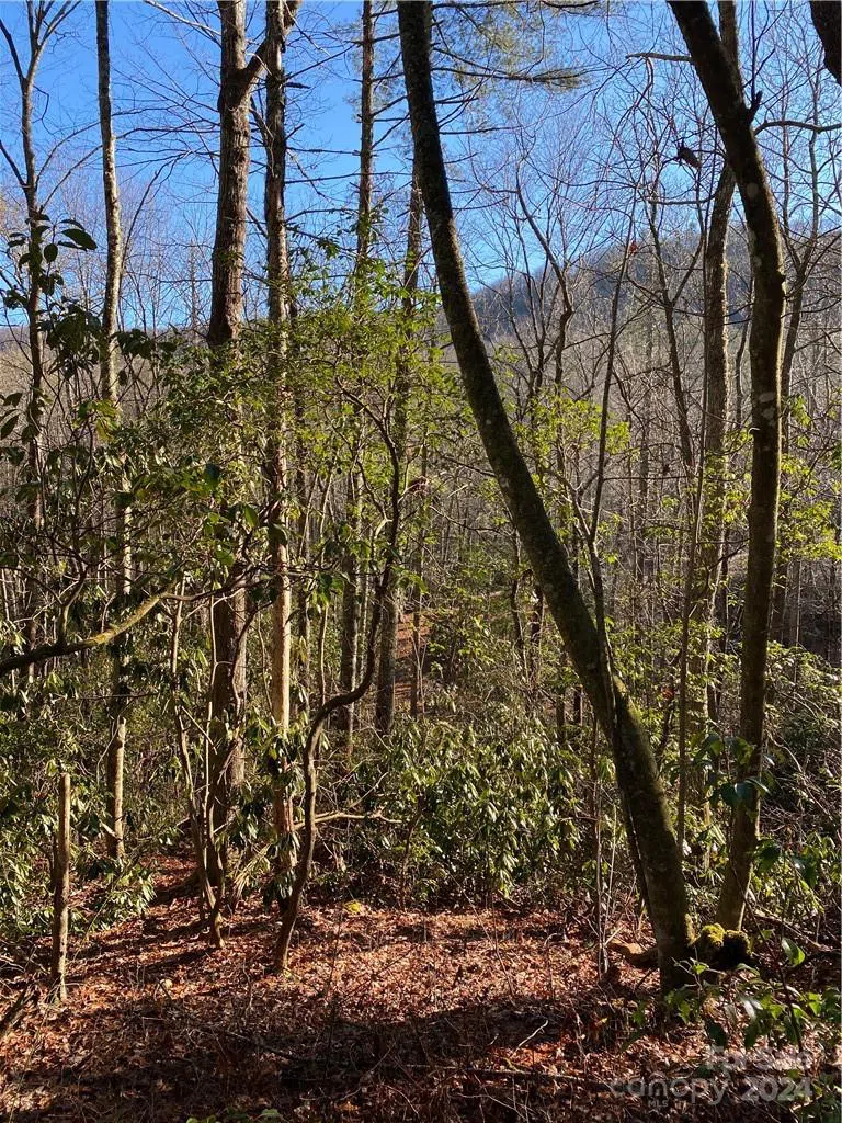 L41 Abby Falls Road #L41 Rosman, NC 28772