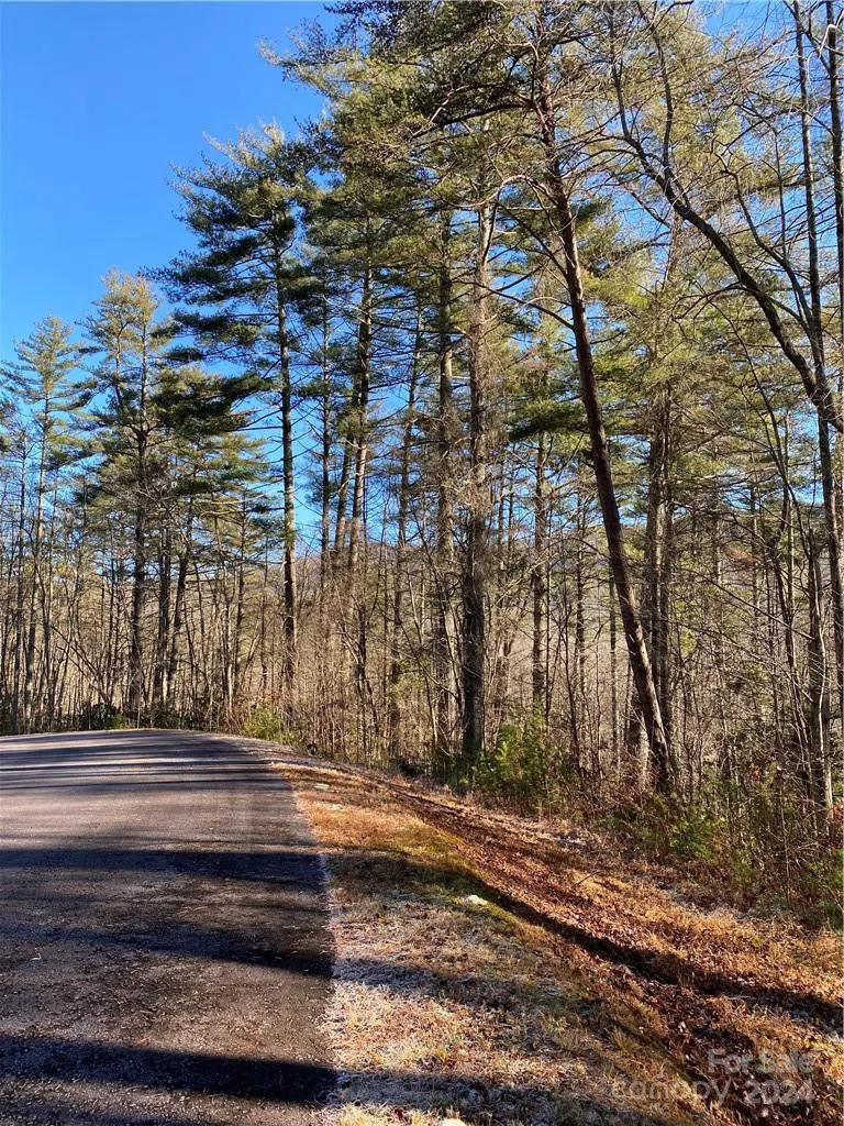 L41 Abby Falls Road #L41 Rosman, NC 28772