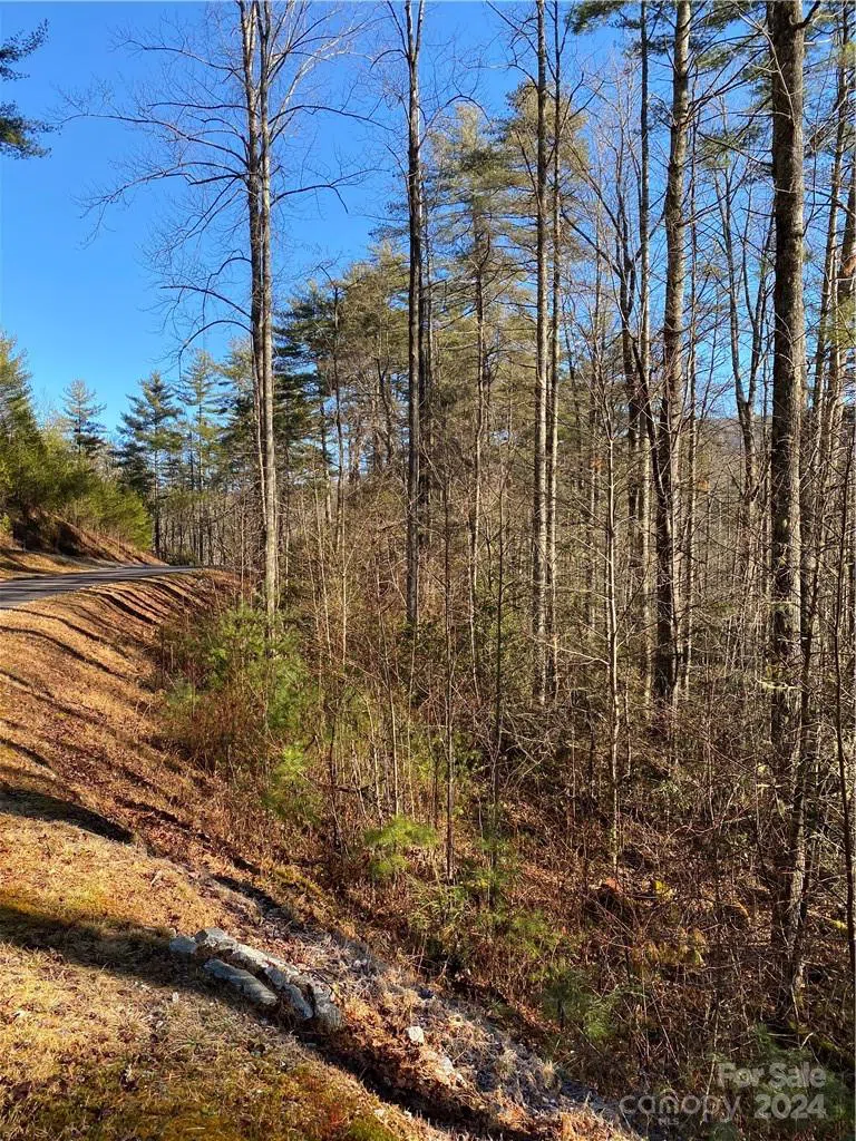 L41 Abby Falls Road #L41 Rosman, NC 28772