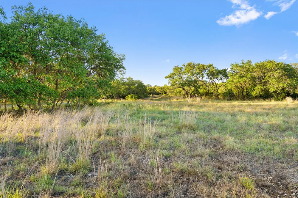 370 Gray Wolf Blanco, TX 78606