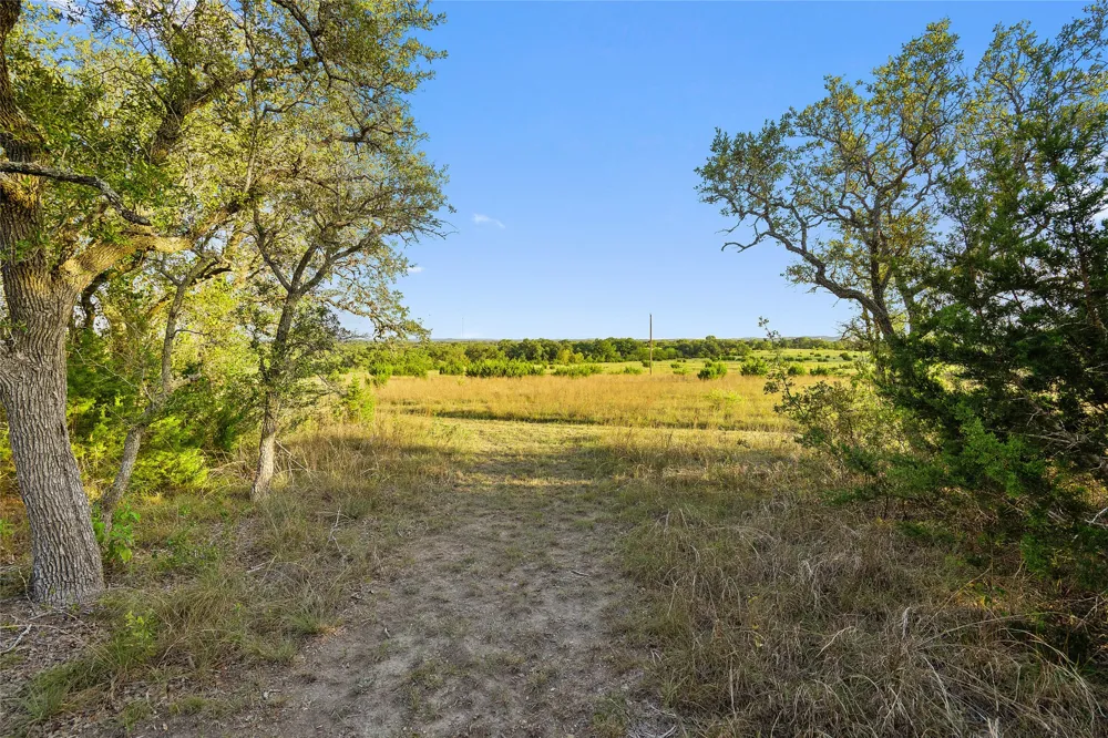 370 Gray Wolf Blanco, TX 78606