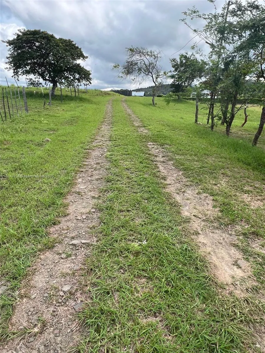 Republicans of Panama 