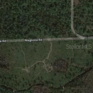 MAGNOLIA ROAD