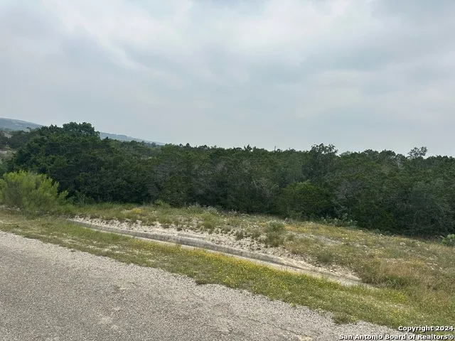 223 Freedom St Fischer, TX 78623