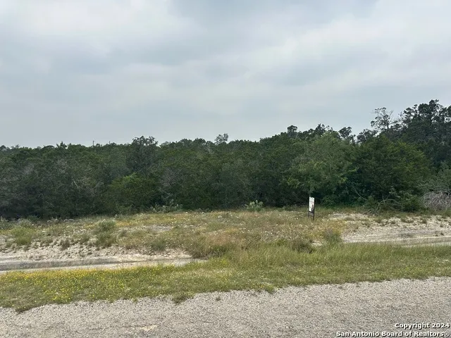 223 Freedom St Fischer, TX 78623