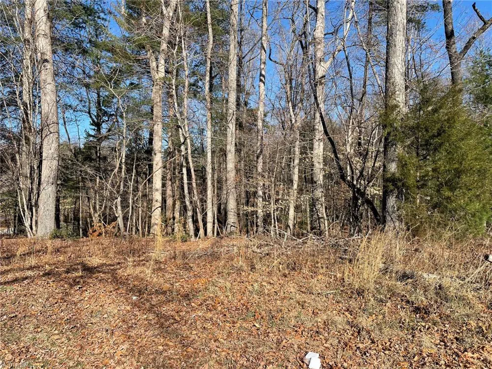 Lot 142,143,144,145 Claremont Drive Elkin, NC 28621
