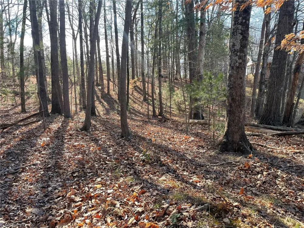 Lot 142,143,144,145 Claremont Drive Elkin, NC 28621