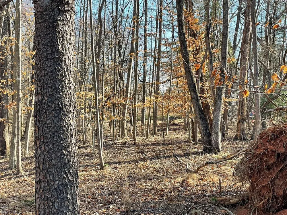 Lot 142,143,144,145 Claremont Drive Elkin, NC 28621