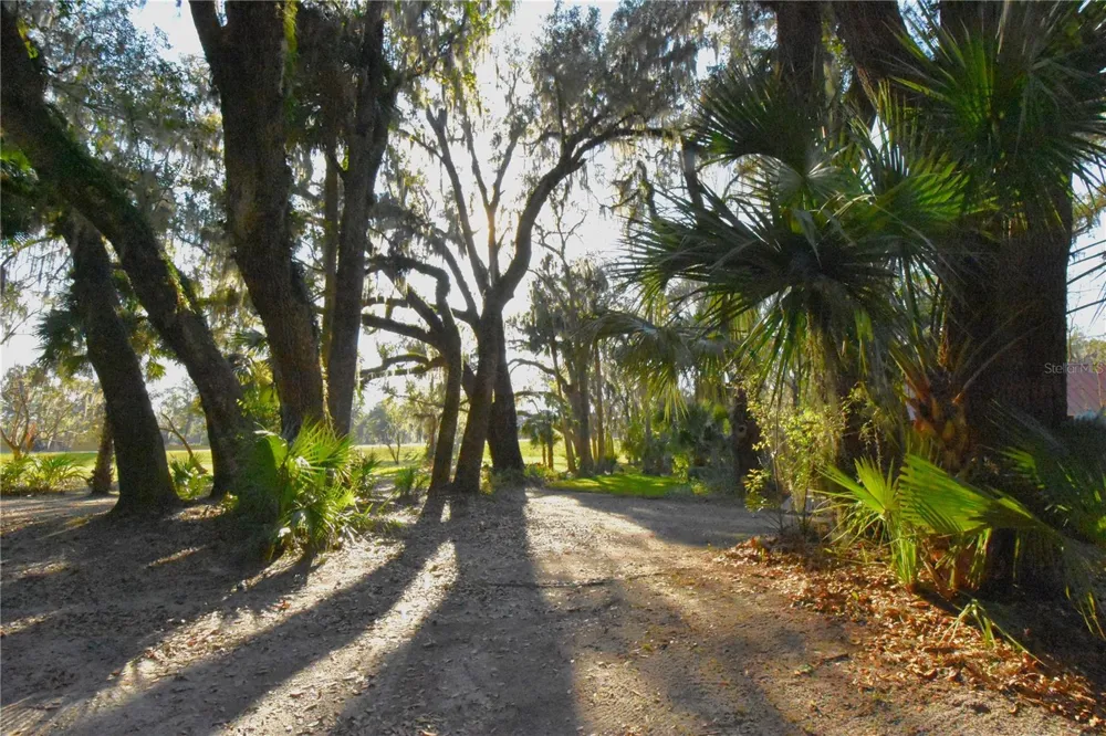 1302 SE WACAHOOTA ROAD Micanopy, FL 32667