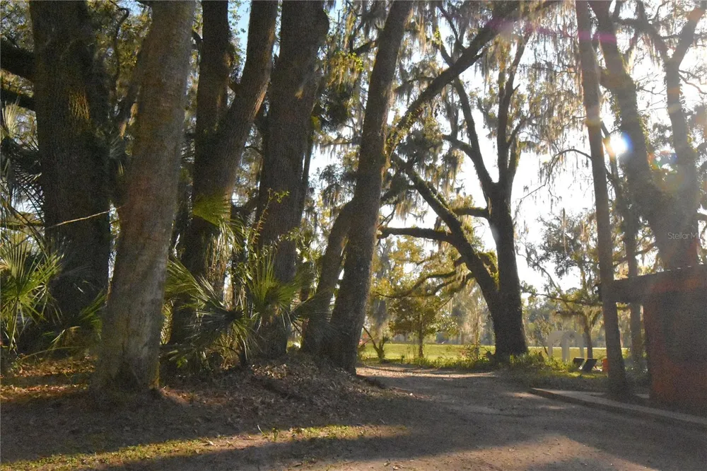 1302 SE WACAHOOTA ROAD Micanopy, FL 32667