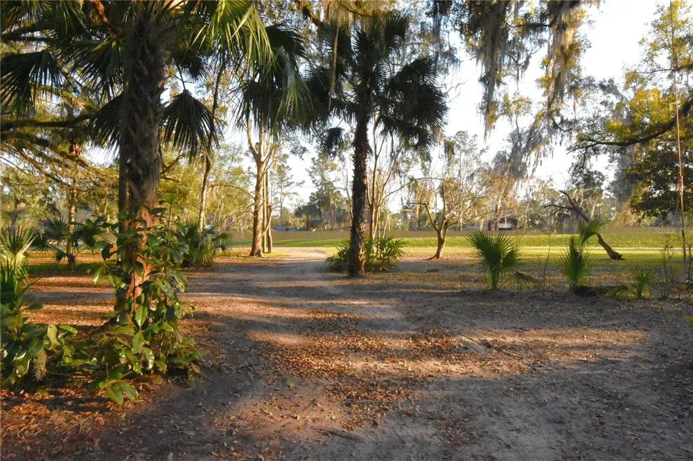 1302 SE WACAHOOTA ROAD Micanopy, FL 32667