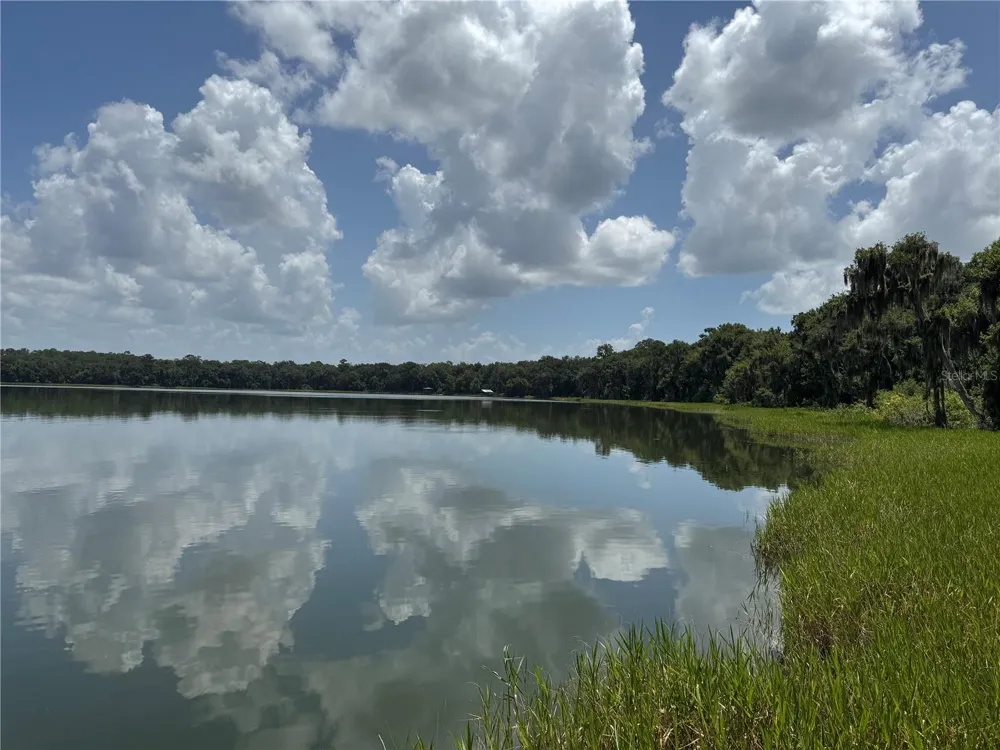 1302 SE WACAHOOTA ROAD Micanopy, FL 32667