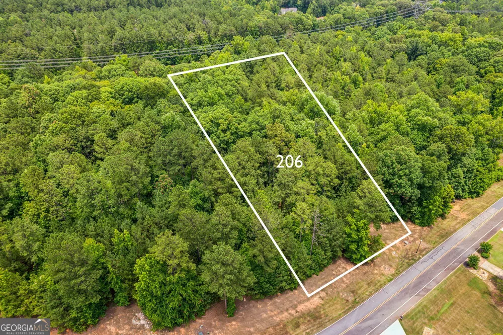206 Crescent DR Forsyth, GA 31029