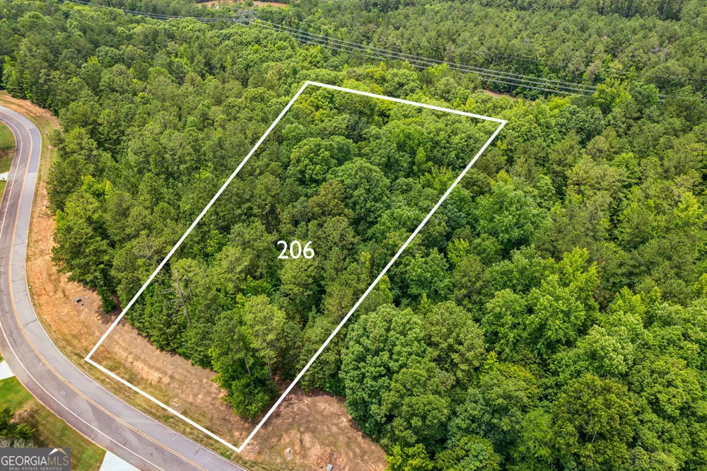 206 Crescent DR Forsyth, GA 31029