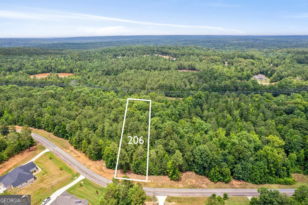 206 Crescent DR Forsyth, GA 31029