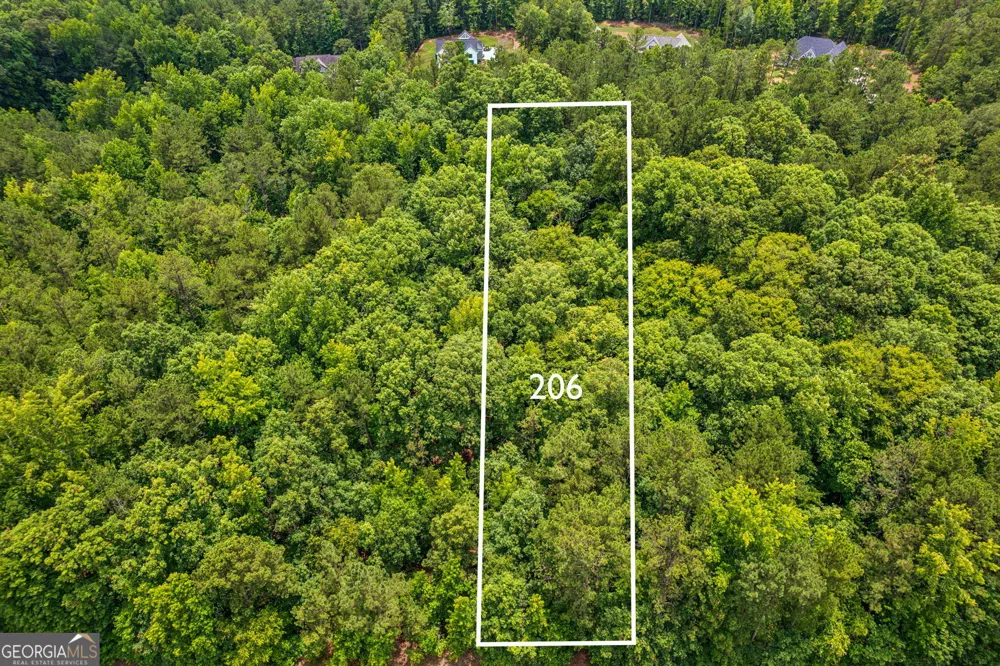 206 Crescent DR Forsyth, GA 31029