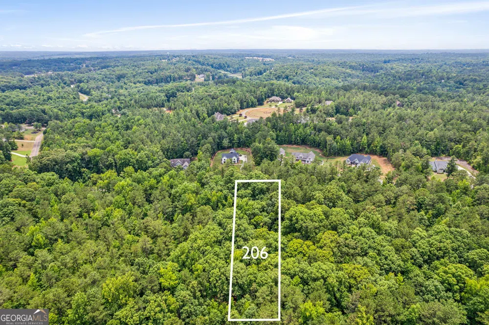 206 Crescent DR Forsyth, GA 31029