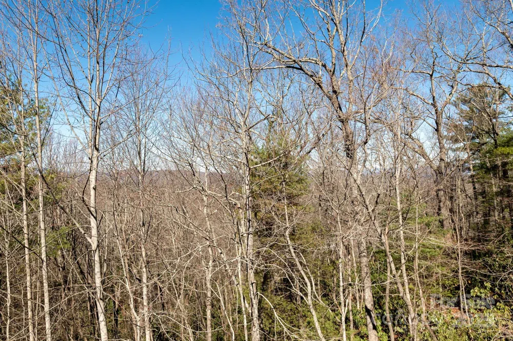 155 POPLAR LOOP DRIVE Flat Rock, NC 28731
