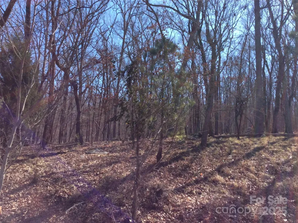 1355 Rocky Cove Lane Denton, NC 27239