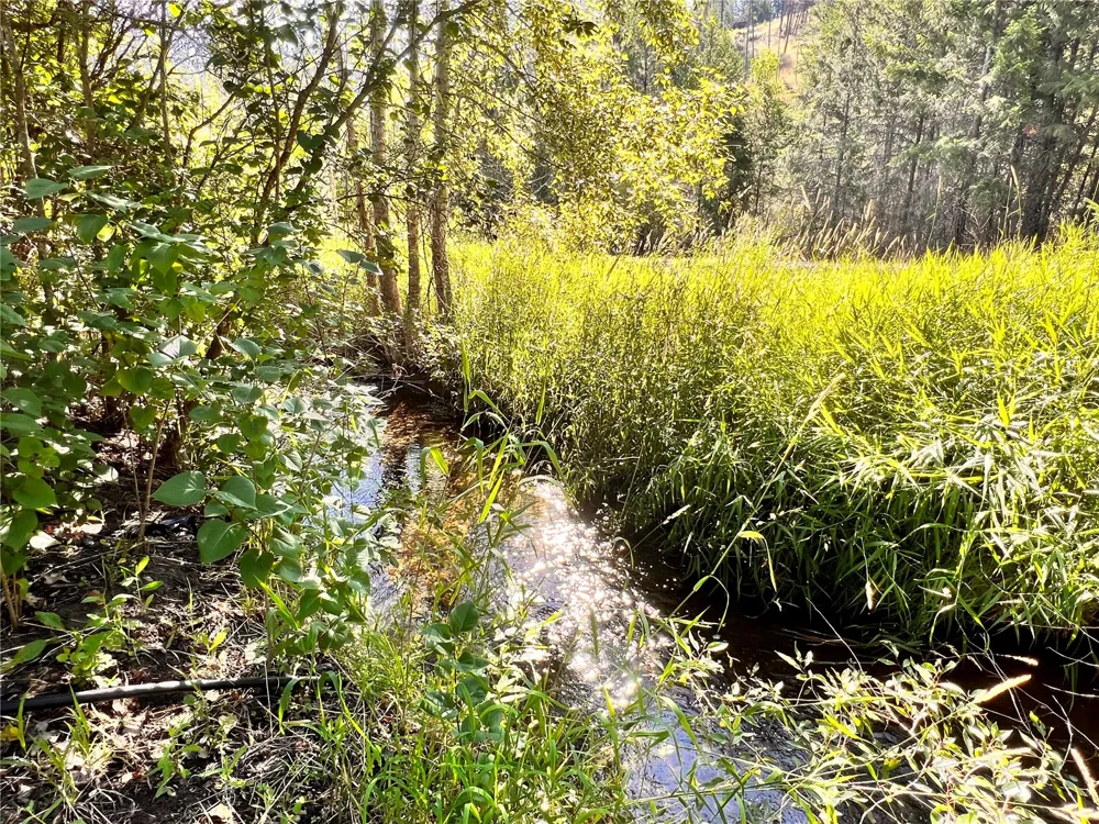 17320 Highway 21 Malo, WA 99150