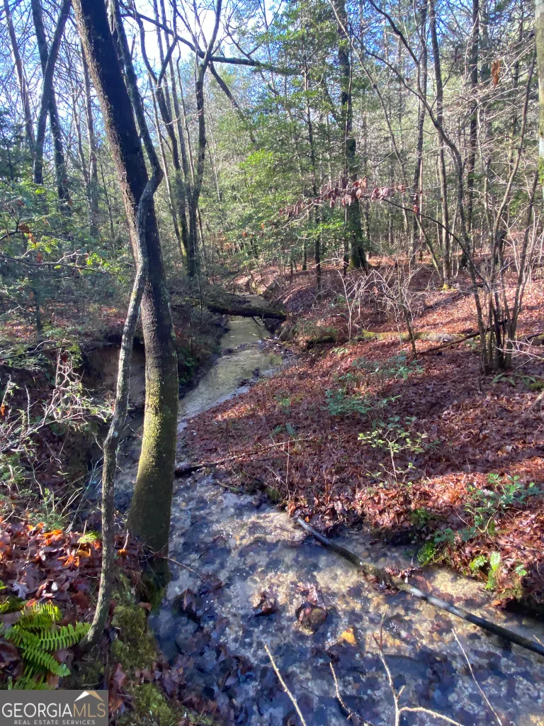 2594 Blue Ridge Gap RD Clayton, GA 30525