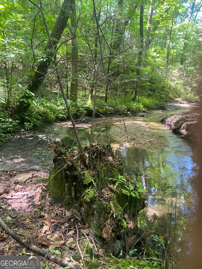 2594 Blue Ridge Gap RD Clayton, GA 30525