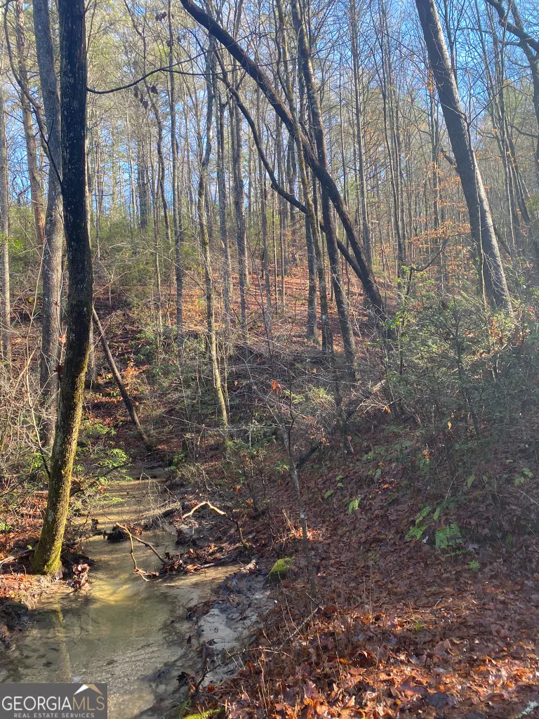 2594 Blue Ridge Gap RD Clayton, GA 30525
