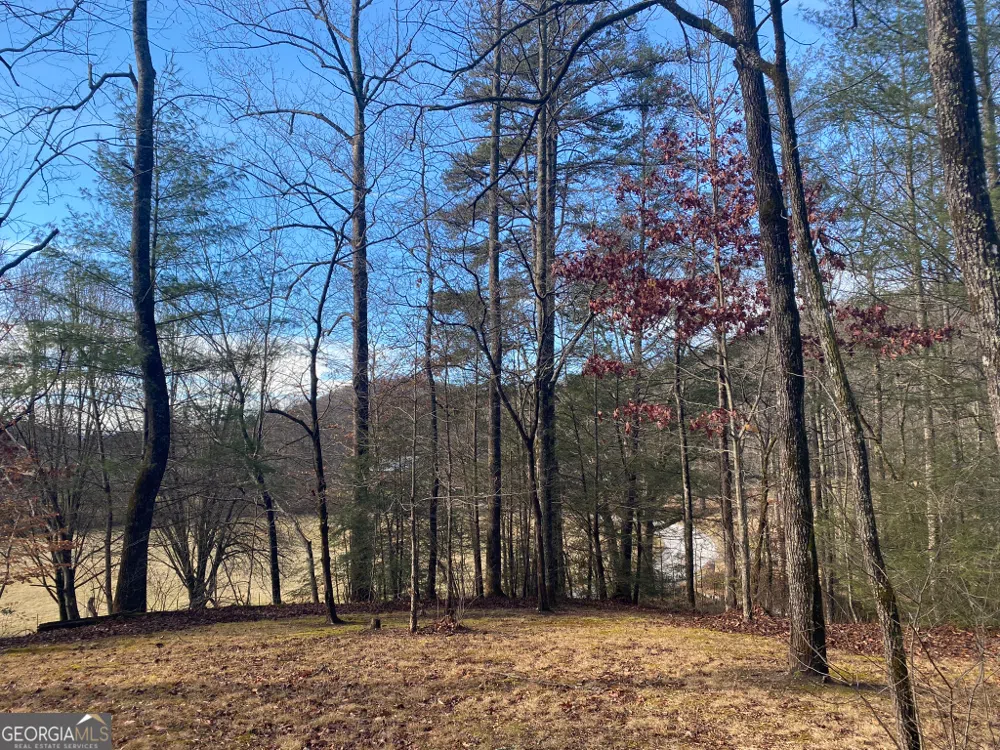 2594 Blue Ridge Gap RD Clayton, GA 30525