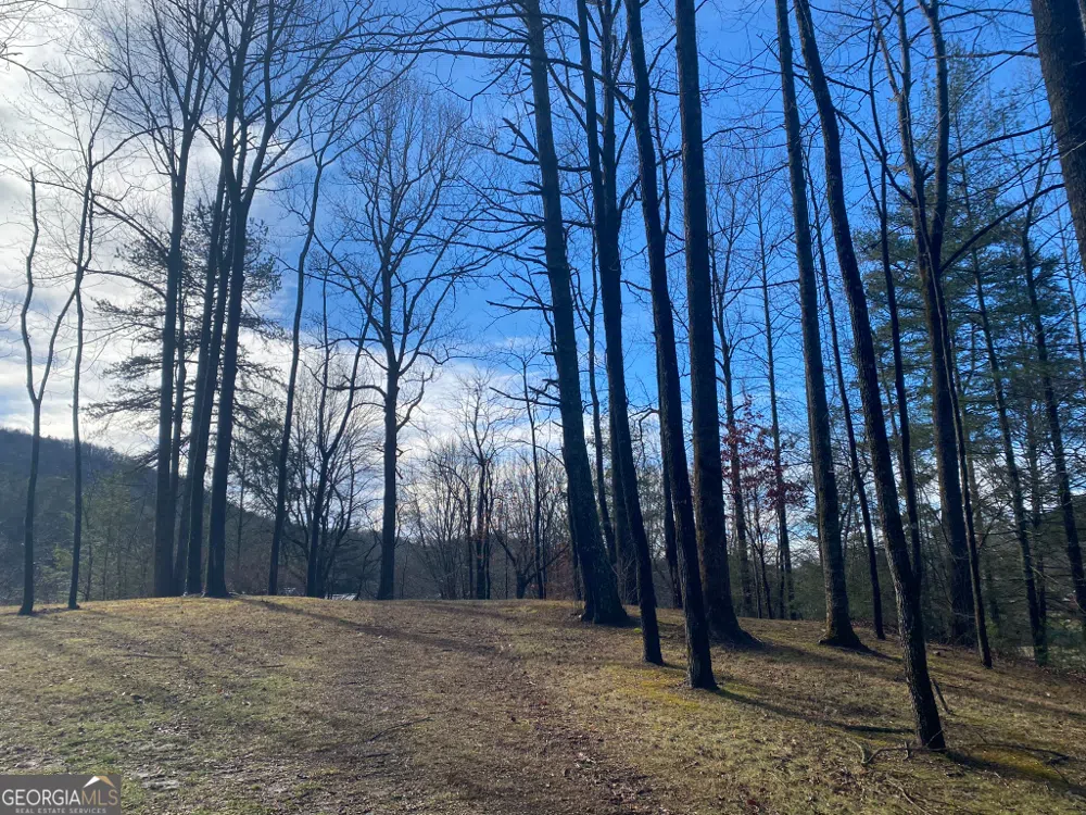 2594 Blue Ridge Gap RD Clayton, GA 30525