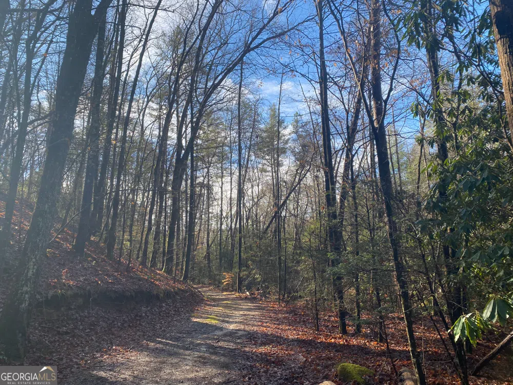 2594 Blue Ridge Gap RD Clayton, GA 30525