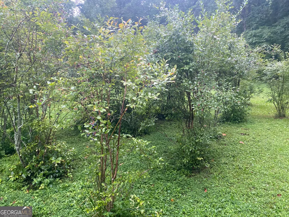 2594 Blue Ridge Gap RD Clayton, GA 30525
