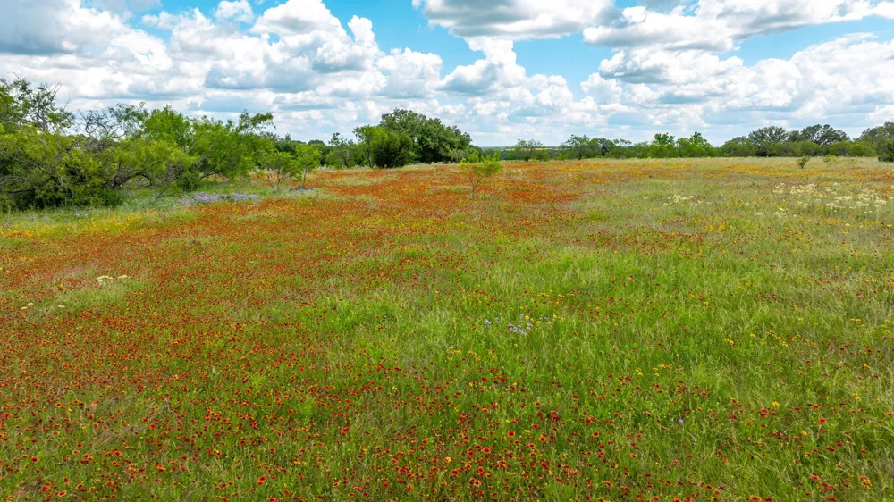 County Road 277 Dublin, TX 76446