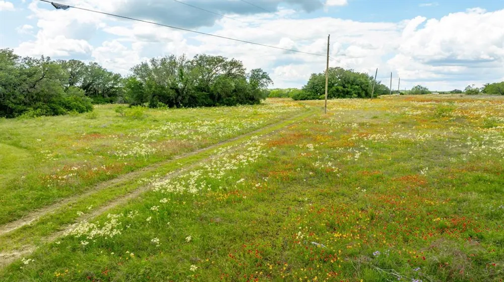 County Road 277 Dublin, TX 76446
